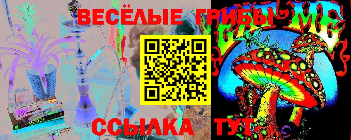 Холмск  Псилоцибиновые грибы мицелий  Вход с VPN 